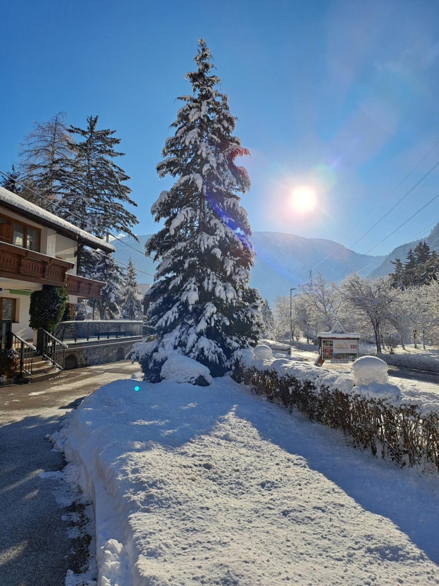 Gaestehaus Almrausch, Ferienanlage Mit Pool Nassereith Εξωτερικό φωτογραφία